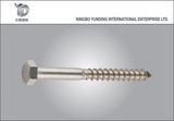 Special Screw with Hexagonal Head Good Quality (YD-HSS01)