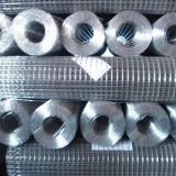 Factory Welded Wire Mesh/Manufacturer Welded Wire Mesh