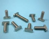 High Quality Stainless Steel and Carbon Steel T Bolt Made in China