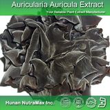 100% Natural Edible Fungus Extract (4: 1, 5: 1, 10: 1, 20: 1, 10%-40% Polysaccharides)