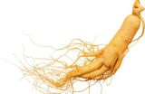Ginseng Root Extract 2014 1%