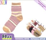 Fashional Cotton Lady Women's Socks (HX-201)