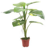 55cm Height Small Artificial Tree China Export--0148