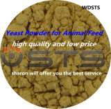 Feed Yeast Powder for Animal (Feed grade with 55% protein)