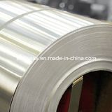 Aluminum/Aluminium Alloy Coil