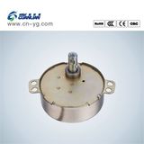 AC Small Electric Motor 220V/110V