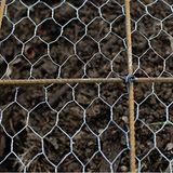 Cheap Electro Galvanized Chicken Netting