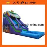 2013 Hot Selling Inflatable Slide, Inflatable Water Slide.