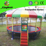 Outdoor Safety Net Trampoline with Sun Roof (LG066)
