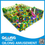 Qilong Recreation Indoor Playground Equioment, Playground Equipment (QL-3071D)