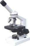 N-10 Series Biological Microscope