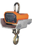 Thermal Protection Crane Scale