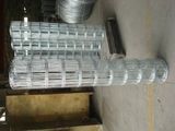 Galvanized Wire Mesh