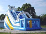 Inflatable Glacier Slide (GS-119)