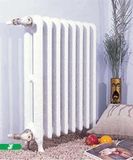 Cast Iron Heating Radiator Price (08)