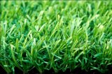 Leisure Artificial Grass (TMCH50)