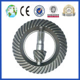 Nks Spiral Bevel Gear in Auto Axle (ratio: 7/43)