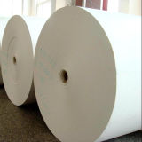 PE Coated Paper /Double Side PE Coated Paper