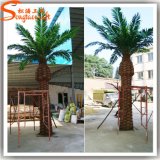 Distinctive Design Evergreen Outdoor Decorative Artificial Palm Tree Plants