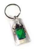 Promotion Gift--Insect Keychain