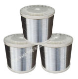 Steel Wire for Making Scourers (YC1004) 