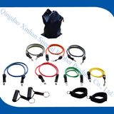 Natural Latex Resistance Band Set (EUN)