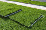 Artificial Turf Installing to Pets