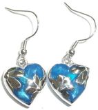 Enamel Earring