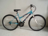 Bicycle (CB-028)