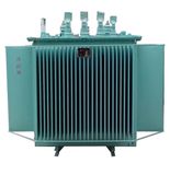 Oil Immersed Transformer (S11M-1600/11)