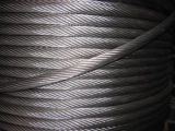 Stainless Steel Wire Rope (6*19)