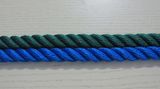 a Variety of Twisted Rope