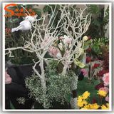 Factory Direct Artificial White Branch Tree for Home Decoration (WT4)