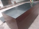 Poplar Film Faced Plywood China/Building Material/Plywood/MDF/Wood