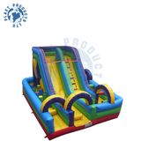 Giant Inflatable Slide (PLG31-006)