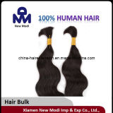 Virgin Natural Human Hair Wave Bulk Human Hair (DLWC089)