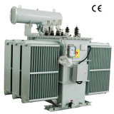 Competitive Power Transformer, Transformer (S11-1000/10)