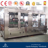 Automatic Beer Filling Line (2000-5000BPH)