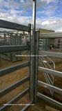 115X42mm Oval Pipe Livestock Panel Yard, Cattle Panel Yard