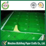 Green Outer Cartoon Label , Adhesive Paper