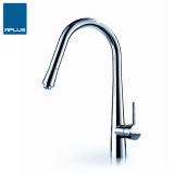 Stylish Brass Pull out Kitchen Faucet