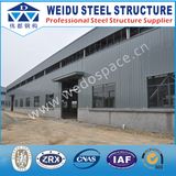 Low Cost Steel Warehouse Structure (WD102310)