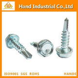 Stainless Steel Washer Fashion Fasteners Drlling Screw