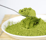 Green Tea Extract with 40%-98% Tea Polyphenols