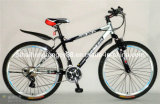 Mountain Bicycle with Good Quality (SH-MTB192)