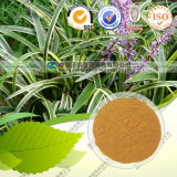 Natural 100% Oat Grass Extract