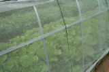 45X40, 6X8 Orchard Anti-Aphid Net
