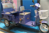 Electric Trike (AG-ETP06)