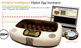 Artificial Intelligence Digital Egg Incubator