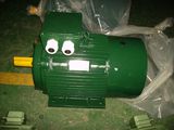 Ie2 Y2 Series Three Phase Electric Motor